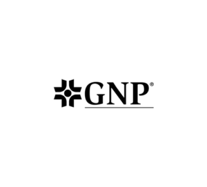 GNP 2026